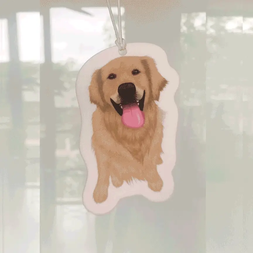 Turn Photos into Hand Drawn Air Fresheners - Image 13