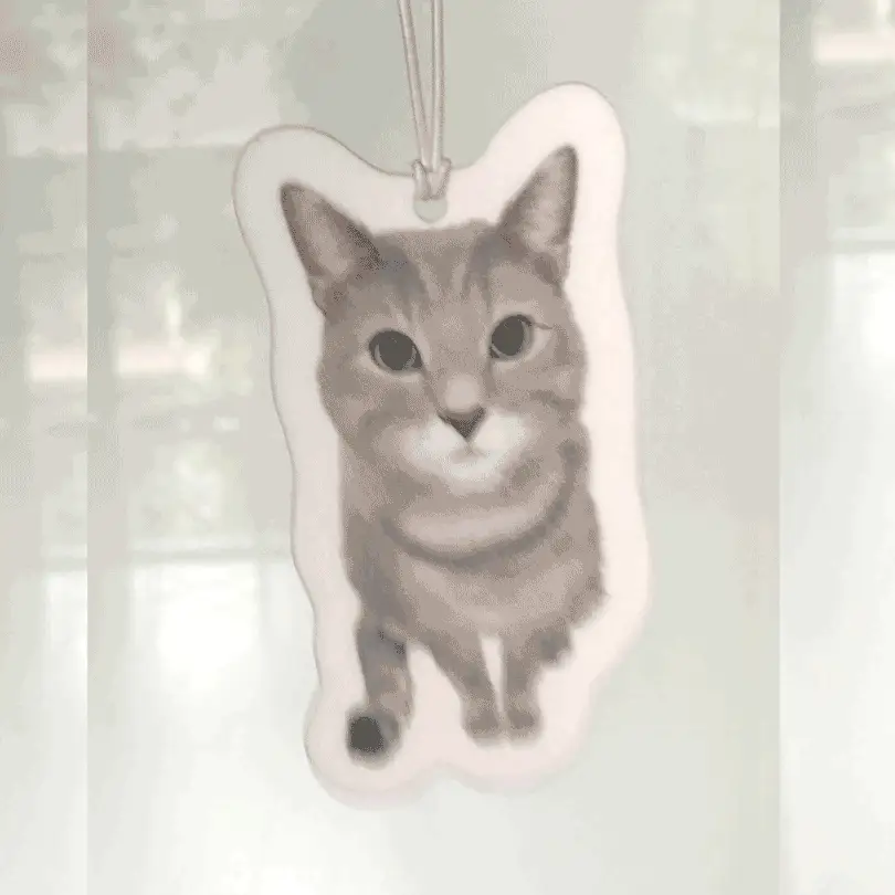 Turn Photos into Hand Drawn Air Fresheners - Image 14