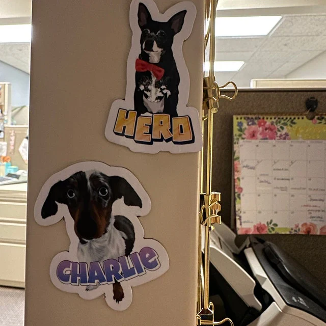 Turn Photos into Hand Drawn Magnets - Image 18