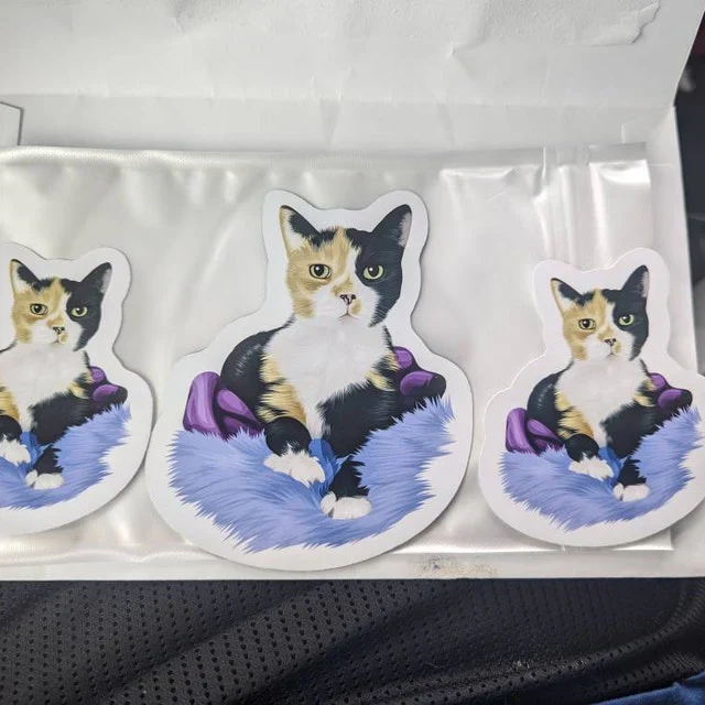 Turn Photos into Hand Drawn Magnets - Image 19