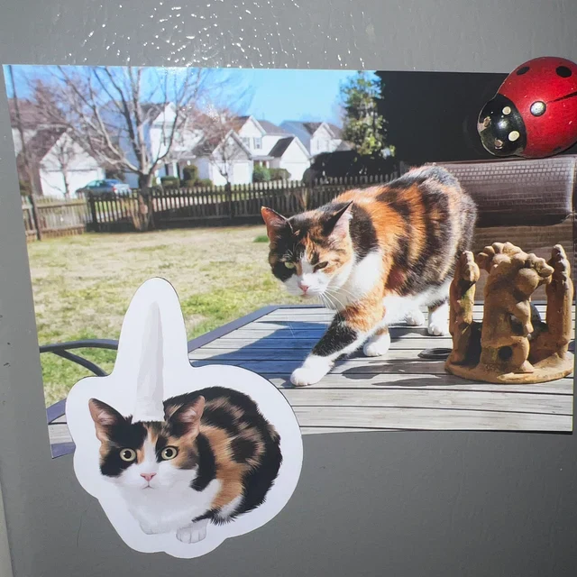 Turn Photos into Hand Drawn Magnets - Image 20