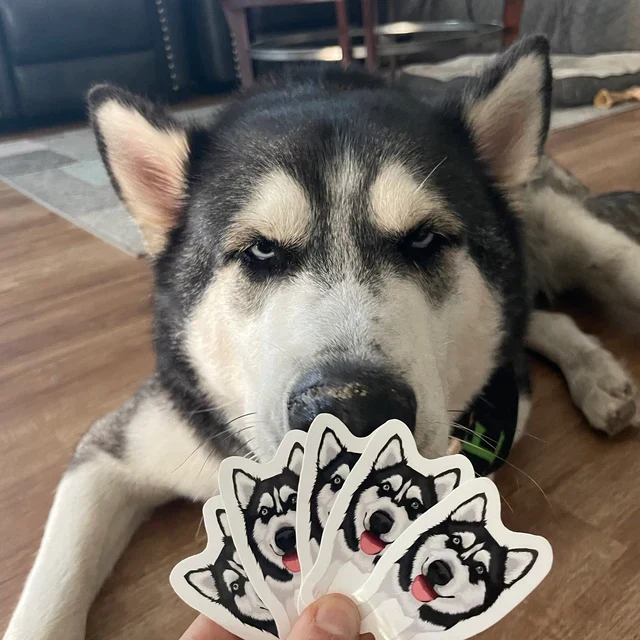 Turn Photos into Hand Drawn Stickers - Image 12